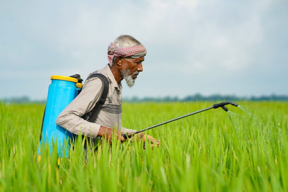 Hoạt động sản xuất nông nghiệp lạm dụng hóa chất