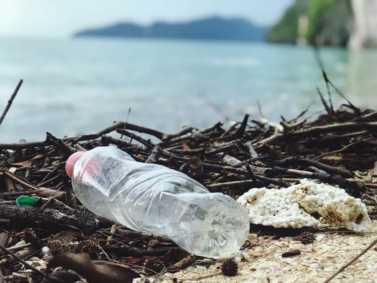 Suy thoái hệ sinh thái và suy giảm đa dạng sinh học